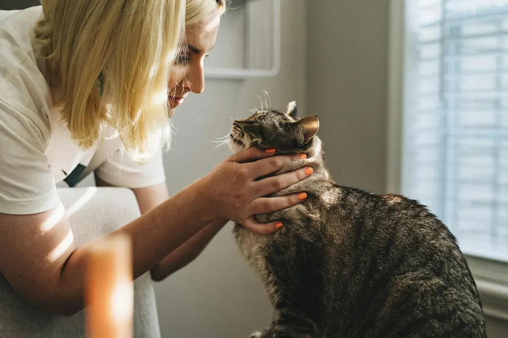 Veterinaria revisando a un gato
